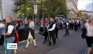 Descente des alpages et Hôtel Lesdiguières - 8 OCTOBRE 2019