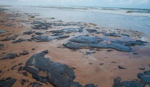 Au Brésil, 2000km de plages sont touchés par une marée de pétrole dont l'origine serait inconnue