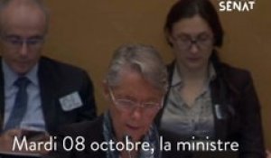 Lubrizol : Elisabeth Borne auditionnée au Sénat