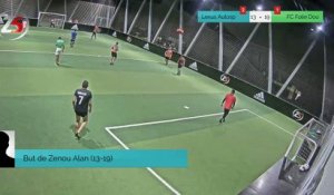 But de Zenou Alan (13-19)