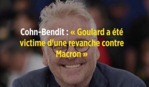Cohn-Bendit : « Goulard a été victime d'une revanche contre Macron »