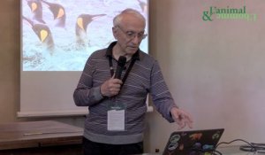 Conférence de Pierre Jouventin : Les manchots ne sont pas des pingouins