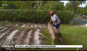 Au cœur du fenua : le tressage du niau à Huahine