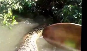L'anaconda que ces brésiliens découvrent dans le fleuve Amazone est immense
