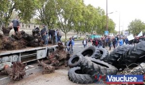 Une centaine d’agriculteurs ont manifesté à Avignon