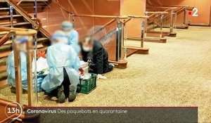 Coronavirus 2019-nCoV : un paquebot mis en quarantaine au large des côtes japonaises