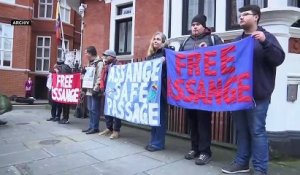 #euroviews : une pétition pour Assange, un mimosa précoce, Almodovar en quête d'un 3ème Oscar