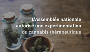 L'Assemblée nationale autorise une expérimentation du cannabis thérapeutique