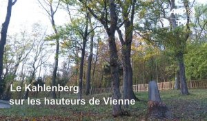 Autriche : un cimetière de Vienne dédié aux enterrements naturels