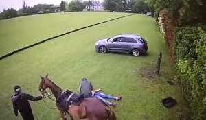 Un homme mis KO par un cheval