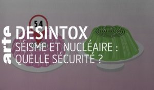 Séisme et nucléaire : quelle sécurité ? | 14/11/2019 | Désintox | ARTE