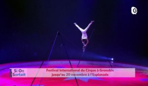 15 NOVEMBRE 2019 - Les Rencontres du Cinéma Italien, festival International du Cirque, Une paire de gifles et quelques claques, Save My Soul