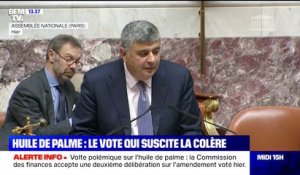 Vote polémique sur l'huile de palme: la Commission des finances accepte une 2e délibération sur l'amendement voté jeudi