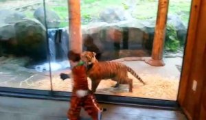 Un enfant déguisé en tigre joue avec un jeune tigre... Adorable