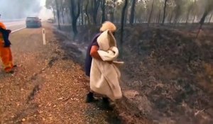 Elle sauve un koala pris dans un incendie en Australie !