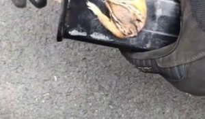 Ce mécanicien trouve un écureuil coincé dans une pièce en métal