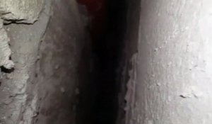 Sauvetage d'un chiot coincé dans un mur (Philippines)