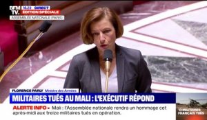 Florence Parly remercie l'Assemblée nationale pour la minute de silence en hommage aux 13 soldats morts au Mali