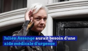 La santé physique et mentale de Julian Assange en danger ?