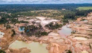 La forêt amazonienne a perdu plus de 10 000 km2 de surface à cause de la déforestation, une première depuis dix ans