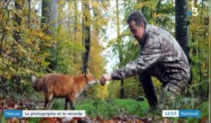 Nature : la relation complice entre un photographe et une renarde