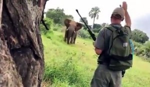 Ce guide de safari stoppe un éléphant d'un simple geste
