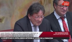 La société face à l'intelligence artificielle : le défi de la formation - Séance (04/12/2019)