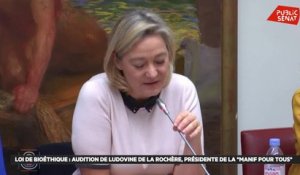 Loi de Bioéthique : audition de Ludovine de la Rochère (05/12/2019)
