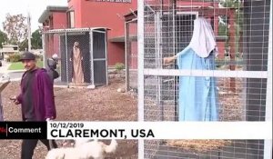 Polémique autour d'une crèche en cage aux Etats-Unis