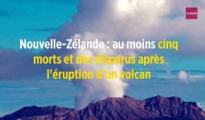 Nouvelle-Zélande : au moins cinq morts et des disparus après l'éruption d'un volcan