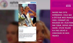 Miss France 2020 : ce qui pourrait pousser Sylvie Tellier au départ