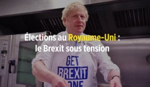 Élections au Royaume-Uni : le Brexit sous tension