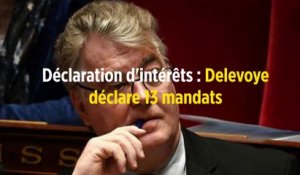Déclaration d'intérêts : Delevoye déclare 13 mandats