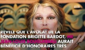 Brigitte Bardot : sa fondation épinglée par la Cour des comptes, elle s’insurge