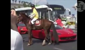 Ce cheval déteste les Ferrari... gros coup de sabot