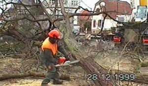 DNA - Images d'archives : Constat des séquelles de la tempête du 26 déc 1999 à Brumath (Ville)