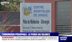 Chirurgien pédophile: l'ex-femme du Dr Le Souarnec savait-elle quelque chose ?