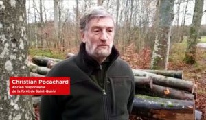 La tempête était aussi dans la tête des forestiers