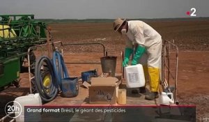 Brésil : le géant des pesticides
