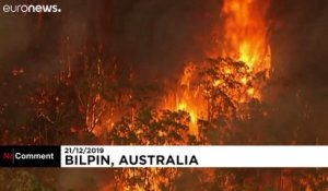 Incendies en Australie : l’équivalent de la Belgique parti en fumée