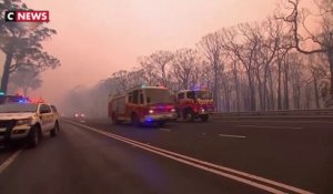 Des feux dévastateurs en Australie