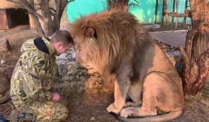 Ce dresseur est très proche de son lion... amitié incroyable