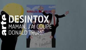 Maman j’ai coupé Donald Trump | 07/01/2020 | Désintox | ARTE