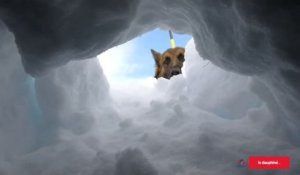 Pra Loup : premier exercice de la saison pour les maîtres-chiens d’avalanche