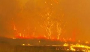 Australie: Les chiffres impressionnants des incendies