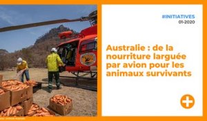 Australie : de la nourriture larguée par avion pour les animaux survivants