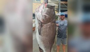 Un mérou de 159 kilos, âgé de 50 ans, pêché en Floride