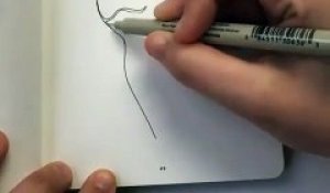 Il dessine un visage à la main sans lever le stylo de la feuille et c'est magnifique