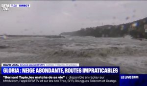 Tempête Gloria: des vagues atteignent 8 mètres de haut dans les Pyrénées-Orientales