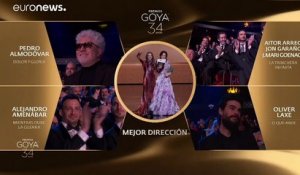 Le sacre de Pedro Almodovar pour "Douleur et gloire" aux Goya espagnols